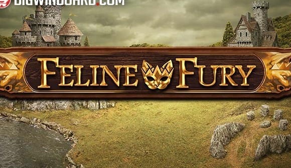 Feline Fury